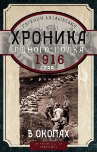 Книга В окопах. 1916 год. Хроника одного полка Книга В окопах. 1916 год. Хроника одного полка