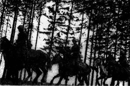 Иллюстрация к книге — &quot;Долина смерти&quot;. Трагедия 2-й ударной армии [i_008.jpg]