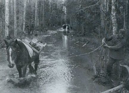 Иллюстрация к книге — &quot;Долина смерти&quot;. Трагедия 2-й ударной армии [i_014.jpg]
