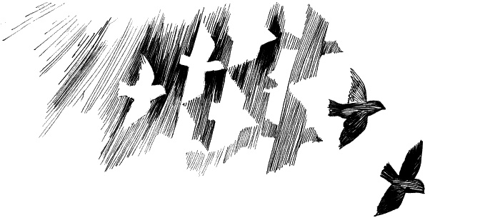 Иллюстрация к книге — Дети – другие. Взрослый как обвиняемый. Часть первая [_13.jpg]