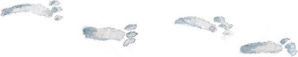 Иллюстрация к книге — Господин Куцехвост и иностранный шпион [i_023.jpg]
