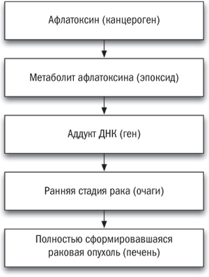 Иллюстрация к книге — Полезная еда. Развенчание мифов о здоровом питании [i_003.jpg]