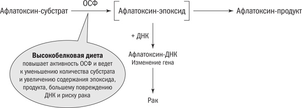 Иллюстрация к книге — Полезная еда. Развенчание мифов о здоровом питании [i_013.jpg]