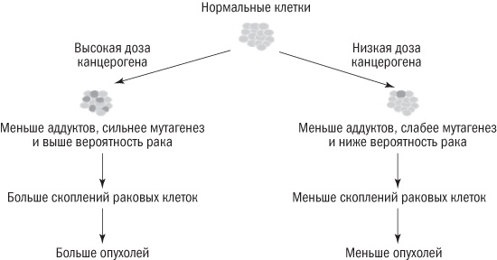 Иллюстрация к книге — Полезная еда. Развенчание мифов о здоровом питании [i_018.jpg]