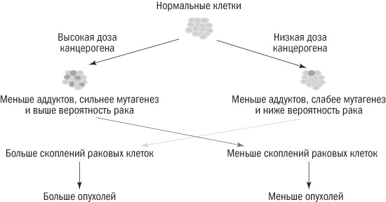 Иллюстрация к книге — Полезная еда. Развенчание мифов о здоровом питании [i_019.jpg]