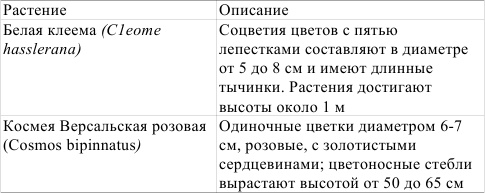 Иллюстрация к книге — Однолетние цветы рукотворной красоты [i_001.jpg]