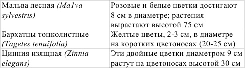 Иллюстрация к книге — Однолетние цветы рукотворной красоты [i_002.jpg]