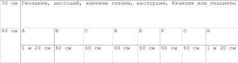 Иллюстрация к книге — Однолетние цветы рукотворной красоты [i_004.jpg]