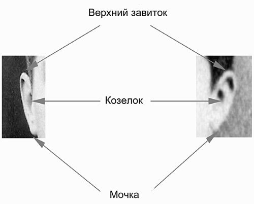 Иллюстрация к книге — Сидней Рейли. Подлинная история «короля шпионов» [i_035.jpg]