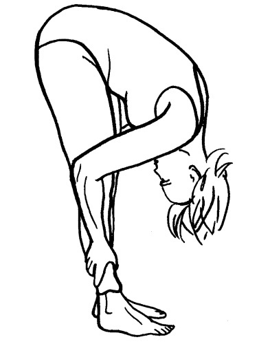 Иллюстрация к книге — Йога для всех. Путь к здоровью [i_020.jpg]