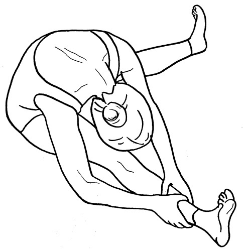 Иллюстрация к книге — Йога для всех. Путь к здоровью [i_026.jpg]