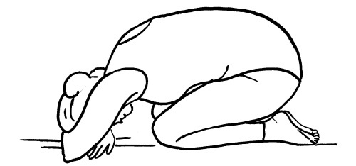 Иллюстрация к книге — Йога для всех. Путь к здоровью [i_029.jpg]