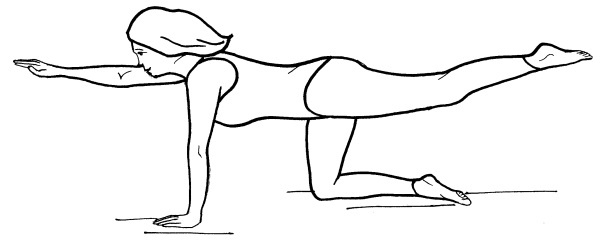 Иллюстрация к книге — Йога для всех. Путь к здоровью [i_040.jpg]