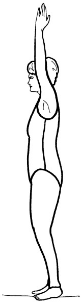 Иллюстрация к книге — Йога для всех. Путь к здоровью [i_052.jpg]