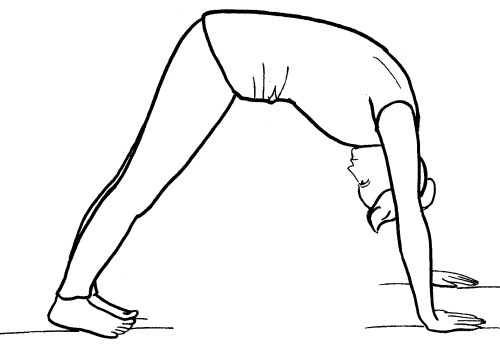 Иллюстрация к книге — Йога для всех. Путь к здоровью [i_057.jpg]