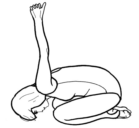 Иллюстрация к книге — Йога для всех. Путь к здоровью [i_060.jpg]