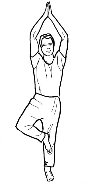 Иллюстрация к книге — Йога для всех. Путь к здоровью [i_076.jpg]