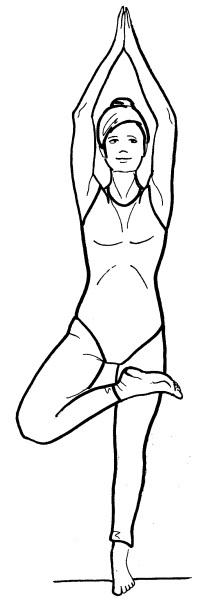 Иллюстрация к книге — Йога для всех. Путь к здоровью [i_110.jpg]