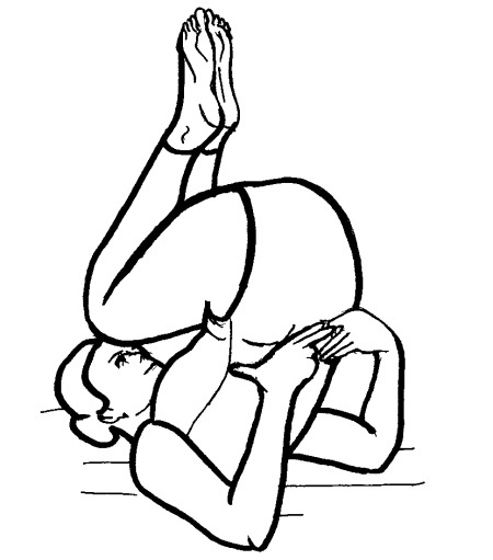 Иллюстрация к книге — Йога для всех. Путь к здоровью [i_116.jpg]