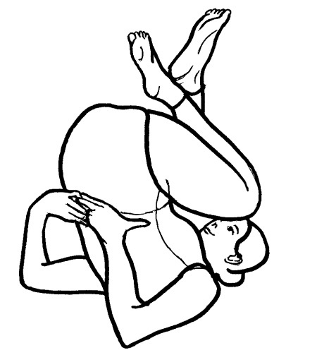 Иллюстрация к книге — Йога для всех. Путь к здоровью [i_118.jpg]