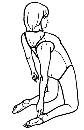 Иллюстрация к книге — Йога для всех. Путь к здоровью [i_132.jpg]