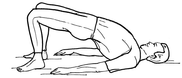 Иллюстрация к книге — Йога для всех. Путь к здоровью [i_172.jpg]