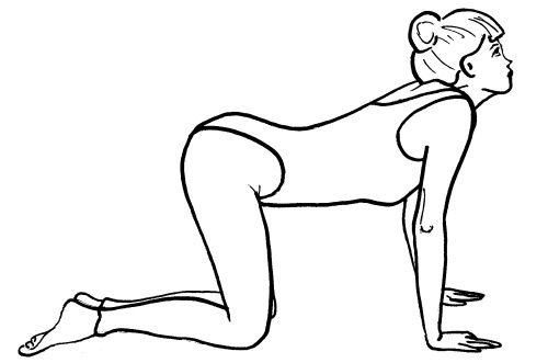 Иллюстрация к книге — Йога для всех. Путь к здоровью [i_176.jpg]