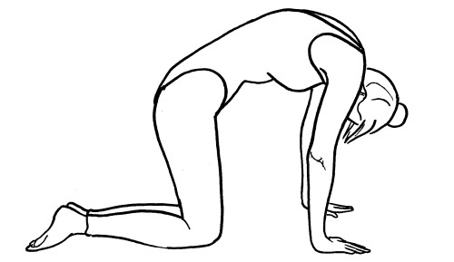 Иллюстрация к книге — Йога для всех. Путь к здоровью [i_177.jpg]