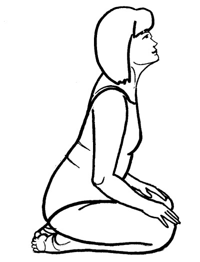 Иллюстрация к книге — Йога для всех. Путь к здоровью [i_199.jpg]