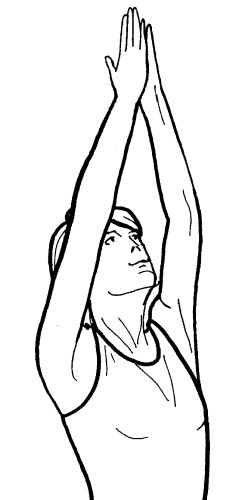 Иллюстрация к книге — Йога для всех. Путь к здоровью [i_214.jpg]