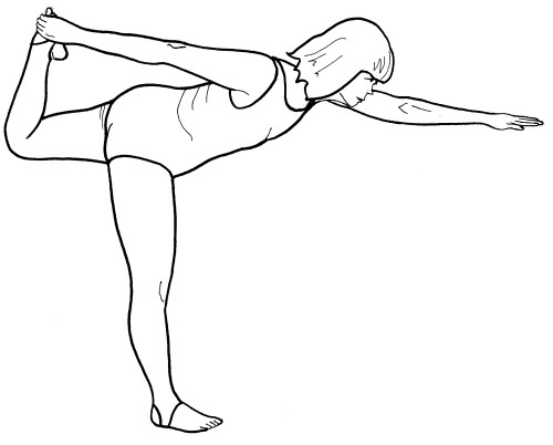 Иллюстрация к книге — Йога для всех. Путь к здоровью [i_219.jpg]