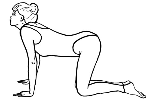 Иллюстрация к книге — Йога для всех. Путь к здоровью [i_220.jpg]