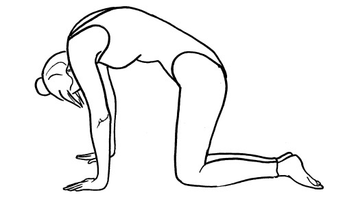 Иллюстрация к книге — Йога для всех. Путь к здоровью [i_221.jpg]