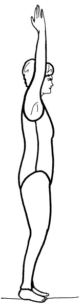 Иллюстрация к книге — Йога для всех. Путь к здоровью [i_264.jpg]