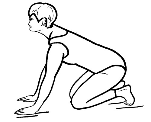 Иллюстрация к книге — Йога для всех. Путь к здоровью [i_267.jpg]