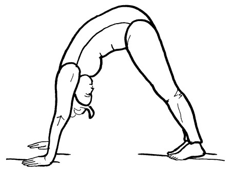 Иллюстрация к книге — Йога для всех. Путь к здоровью [i_268.jpg]