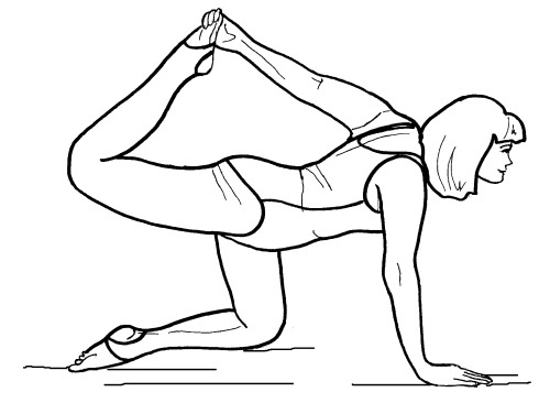 Иллюстрация к книге — Йога для всех. Путь к здоровью [i_269.jpg]