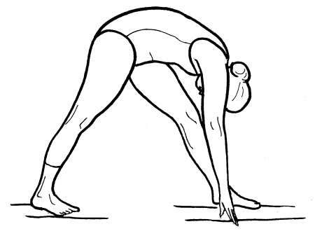 Иллюстрация к книге — Йога для всех. Путь к здоровью [i_271.jpg]