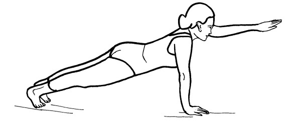 Иллюстрация к книге — Йога для всех. Путь к здоровью [i_272.jpg]