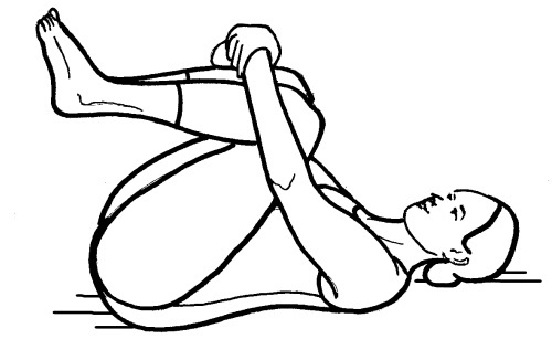 Иллюстрация к книге — Йога для всех. Путь к здоровью [i_274.jpg]