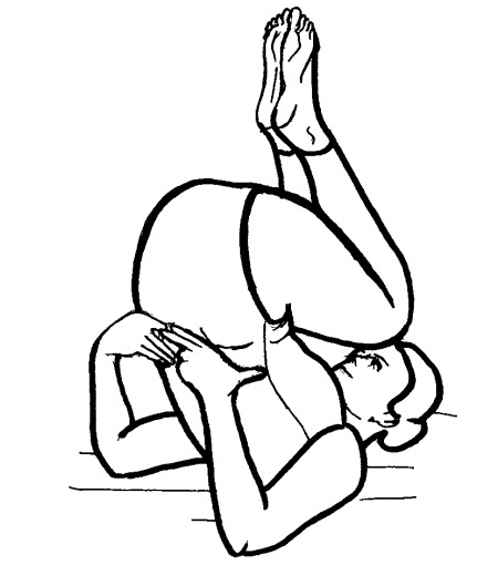 Иллюстрация к книге — Йога для всех. Путь к здоровью [i_275.jpg]