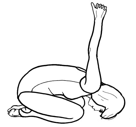 Иллюстрация к книге — Йога для всех. Путь к здоровью [i_287.jpg]