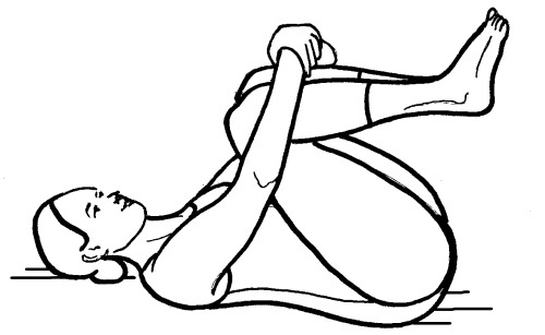 Иллюстрация к книге — Йога для всех. Путь к здоровью [i_296.jpg]