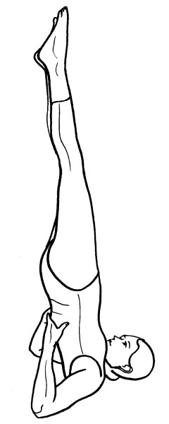 Иллюстрация к книге — Йога для всех. Путь к здоровью [i_298.jpg]