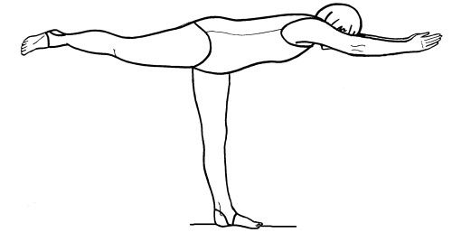 Иллюстрация к книге — Йога для всех. Путь к здоровью [i_311.jpg]