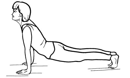 Иллюстрация к книге — Йога для всех. Путь к здоровью [i_313.jpg]