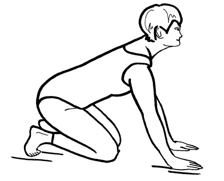 Иллюстрация к книге — Йога для всех. Путь к здоровью [i_333.jpg]