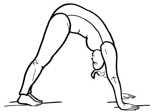 Иллюстрация к книге — Йога для всех. Путь к здоровью [i_334.jpg]