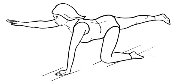 Иллюстрация к книге — Йога для всех. Путь к здоровью [i_336.jpg]