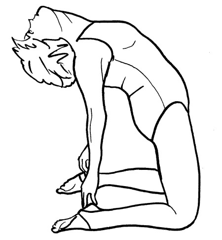 Иллюстрация к книге — Йога для всех. Путь к здоровью [i_340.jpg]